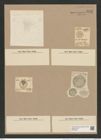 Coscinodiscus elegantulus Grev. (de-Toni-Nr.: Genus 202, Species 5076) Zeichnungen Sammlung Grunow Nr. 8825 (NHMW-BOT-W0378442)